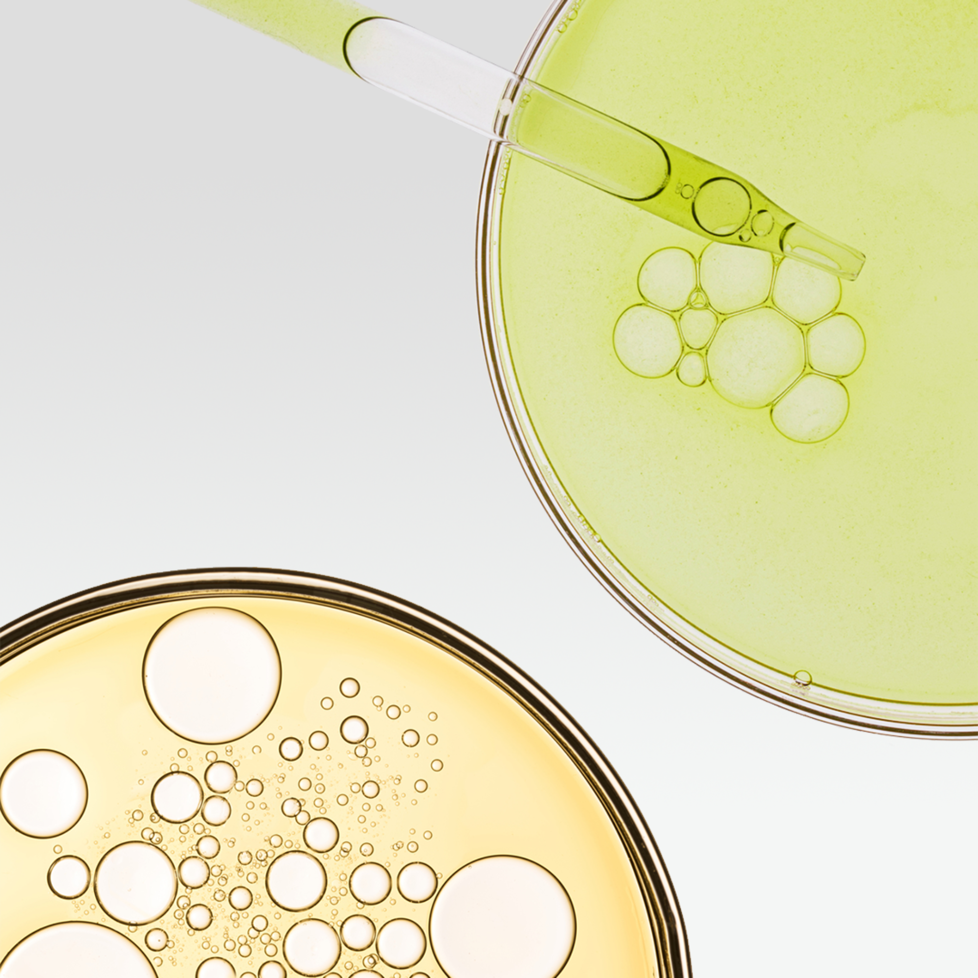 an image of two petri dishes with a pipette in one. One is light green and one is yellow