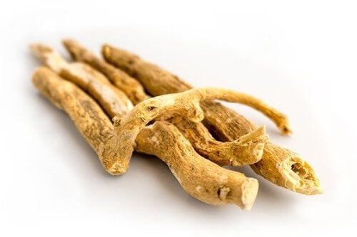 an image showing Ashwagandha on a white background