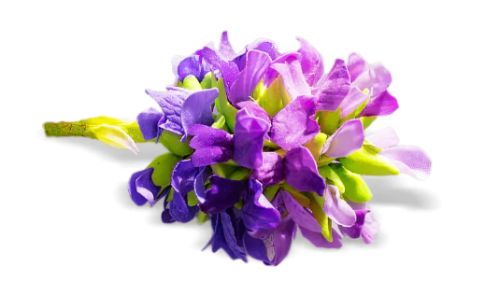an image of Bakuchiol, a plant with purple flowers
