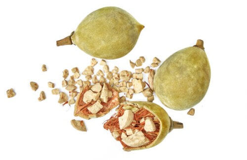 an image of 3 baobab pods, one crushed open