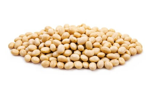 a picture of a pile of lupin seeds