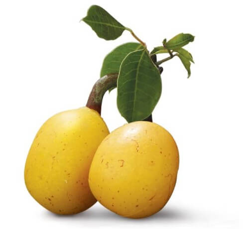 an image of 2 marula fruit, they are a yellowish color
