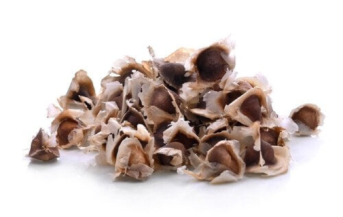 an image of moringa seeds