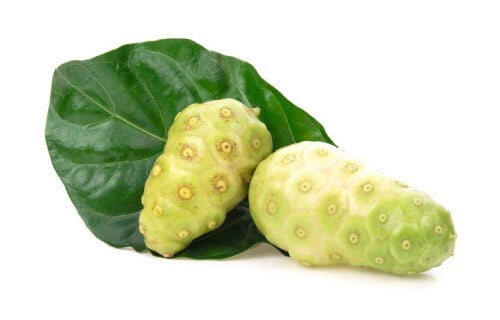 an image of noni fruit on white background