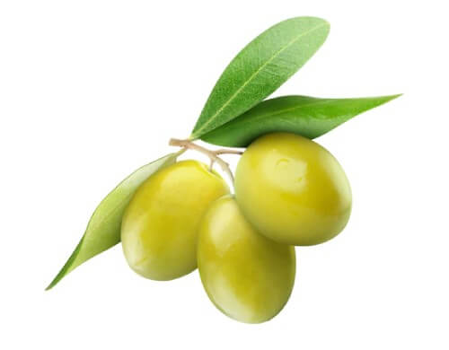 an image of a bunch of olives on a white background