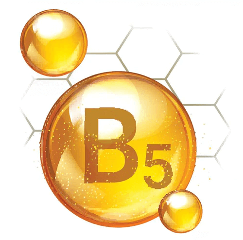 an image showing B5 on a white background