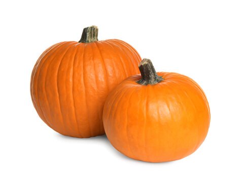 2 pumpkins on a white background