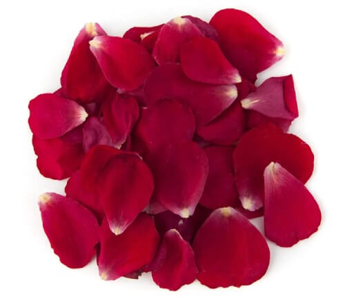an image of rose petals on a white background