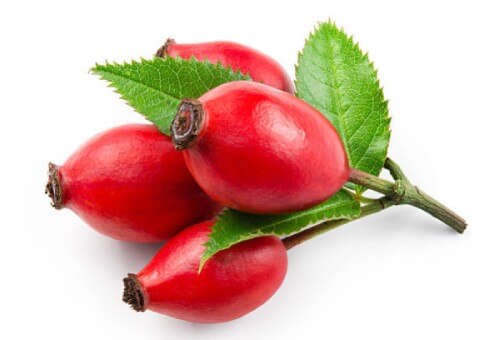 an image of rosehips on a white background