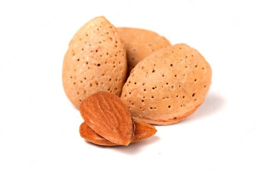 Almond / Sweet Almond image on a white background