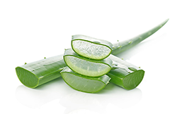 chopped up aloe vera leaves