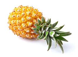 Bromelain, showing a pineapple laying on it's side