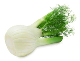 vegetable fennel on a white background