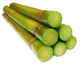 few pieces of chopped sugar cane on white background