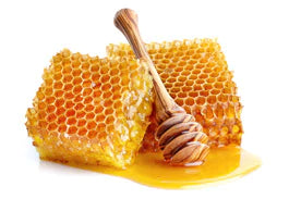2 honeycombs with honey and a wooden honey spoon
