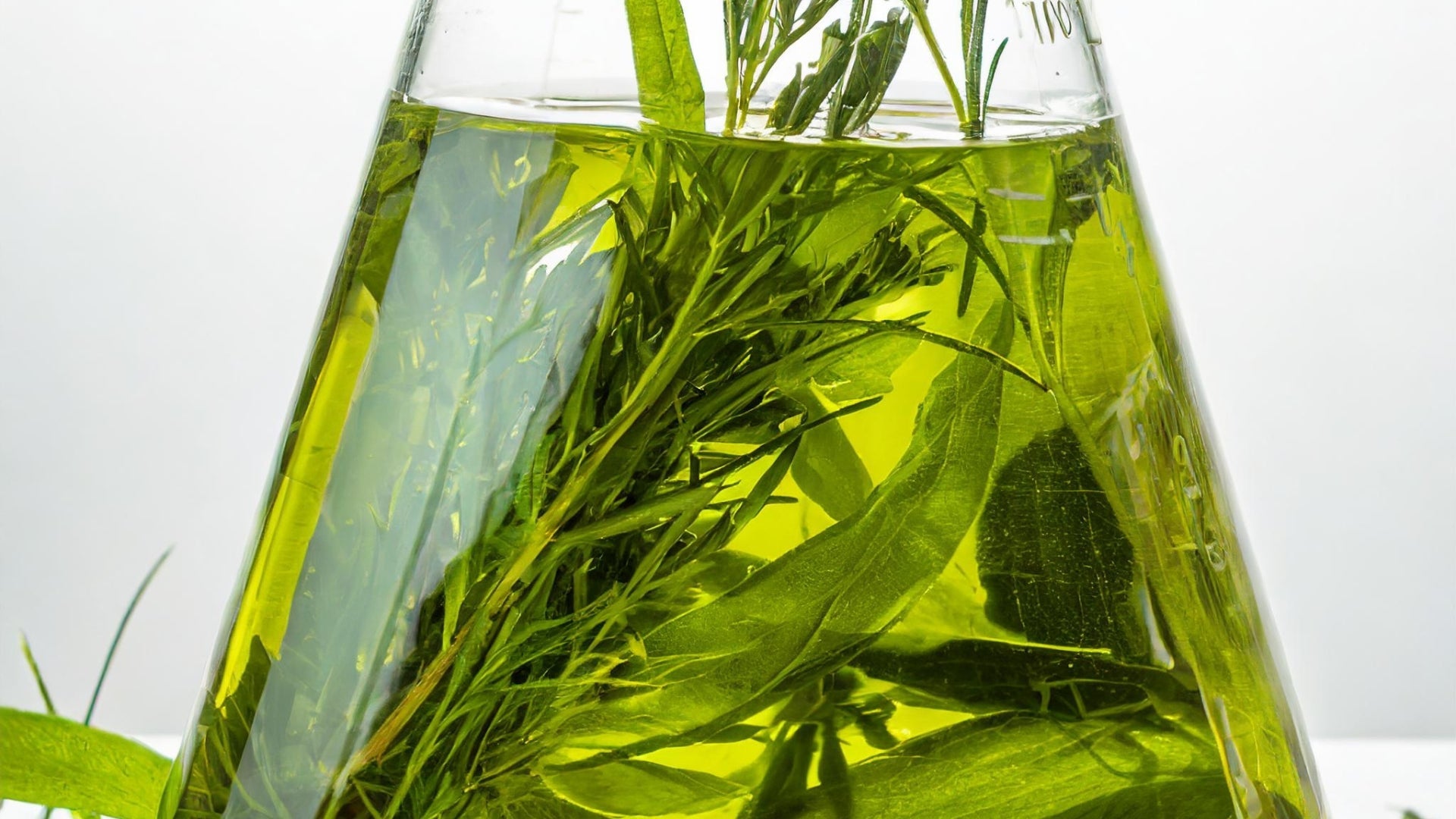 Beaker with green tea and botanicals