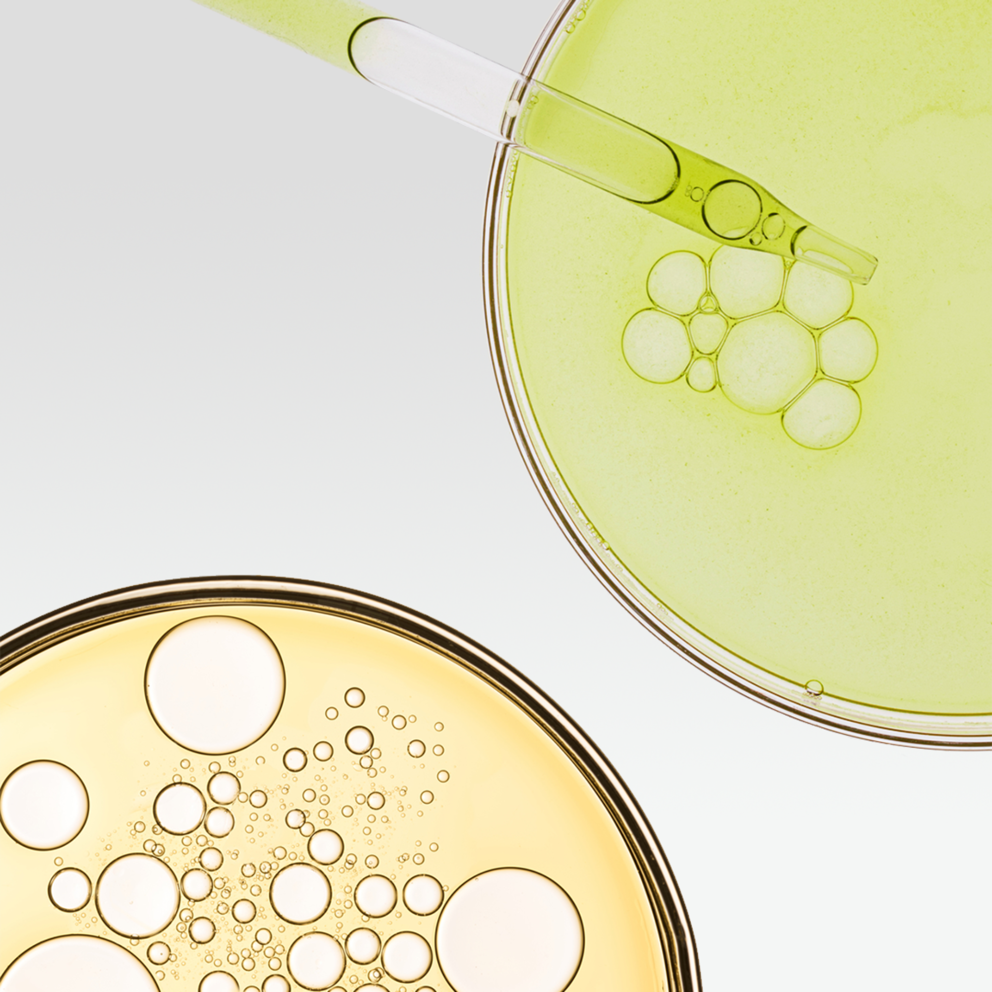 two petri dishes with a pipette inside one
