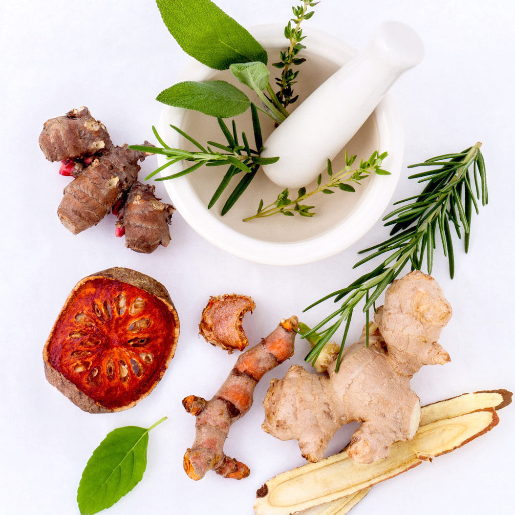 Image of helthy ingredient plants on white background
