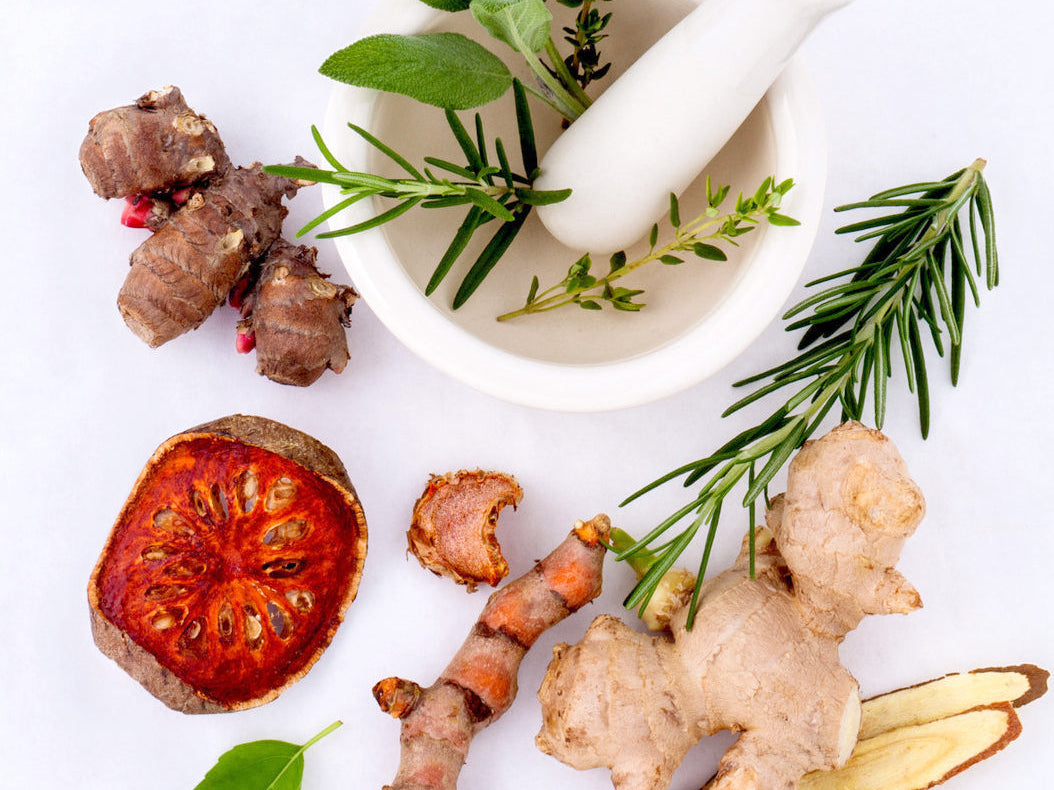 Image of helthy ingredient plants on white background