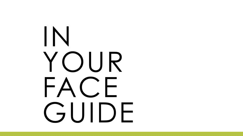 THE GUIDE