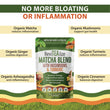 Matcha Mushroom Super Blend - 30 Servings