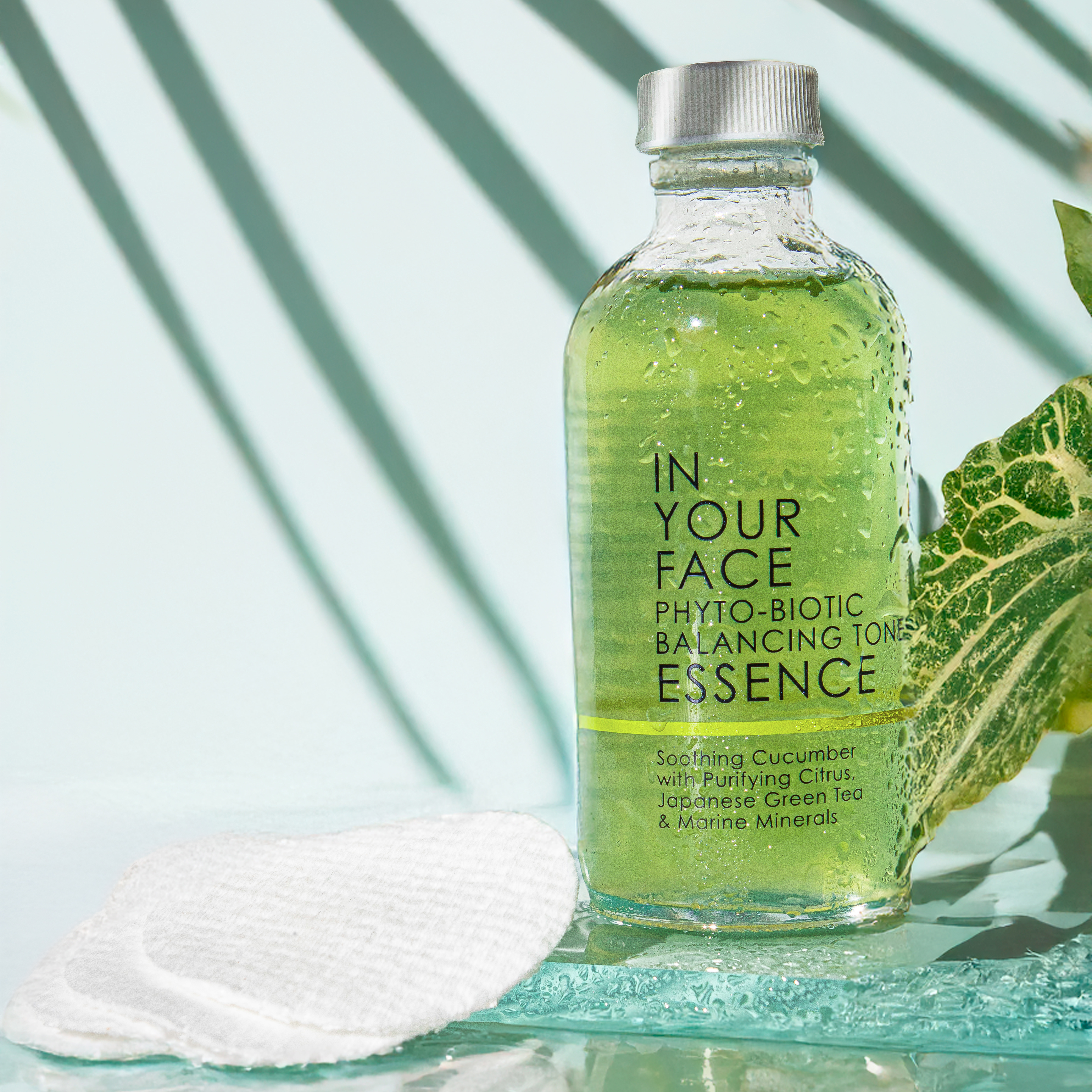 PHYTO-BIOTIC BALANCING TONER ESSENCE with botanical shadows